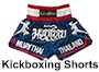 Kickboxing shorts